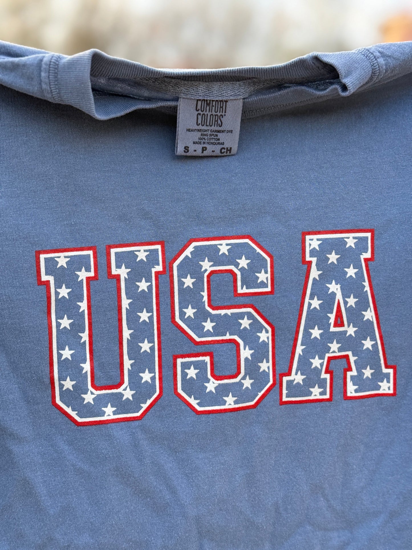 Unisex Adult USA Stars on Comfort Colors Tee by Little Joy Co., product view 3