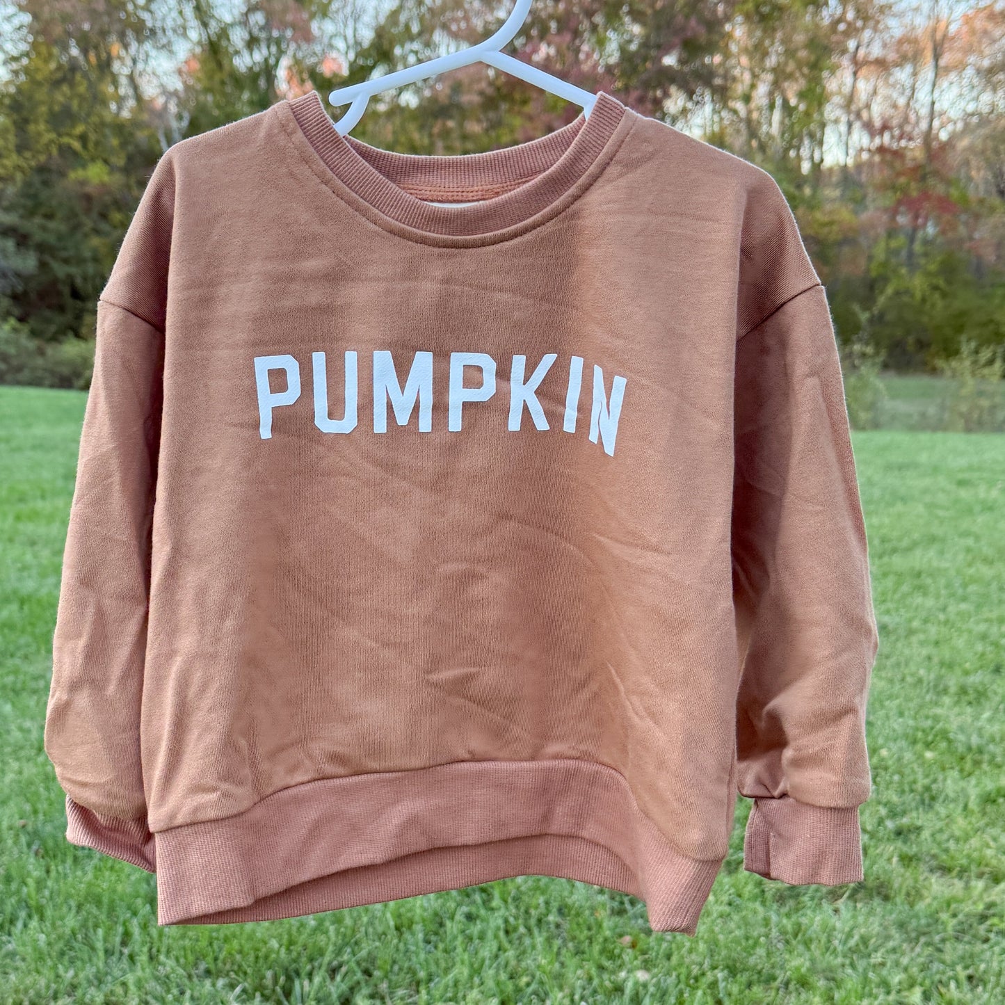 Pumpkin Crewneck Sweatshirt by Little Joy Co., product view 13