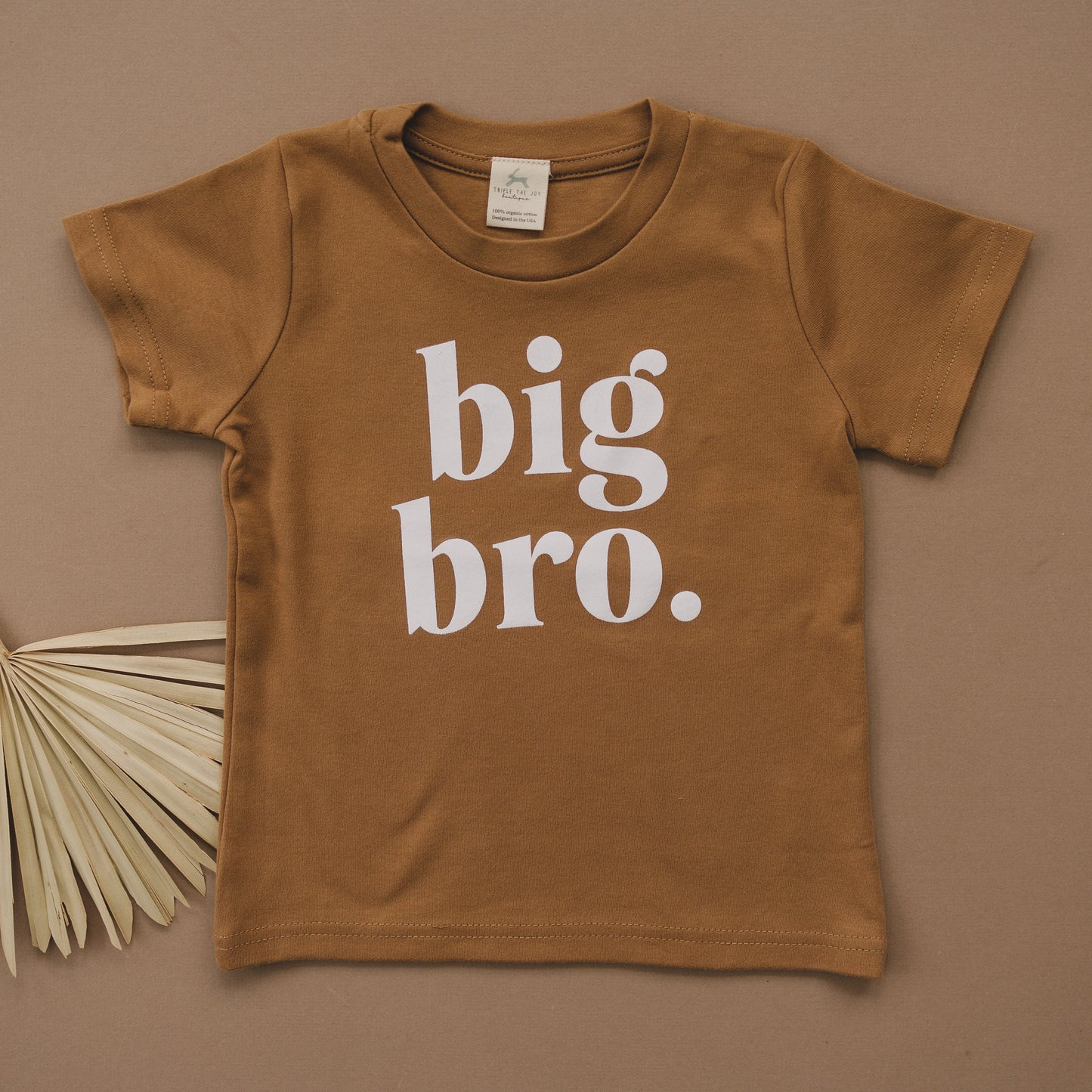 Big Bro Organic Cotton T-Shirt - more colors by Little Joy Co., product view 3