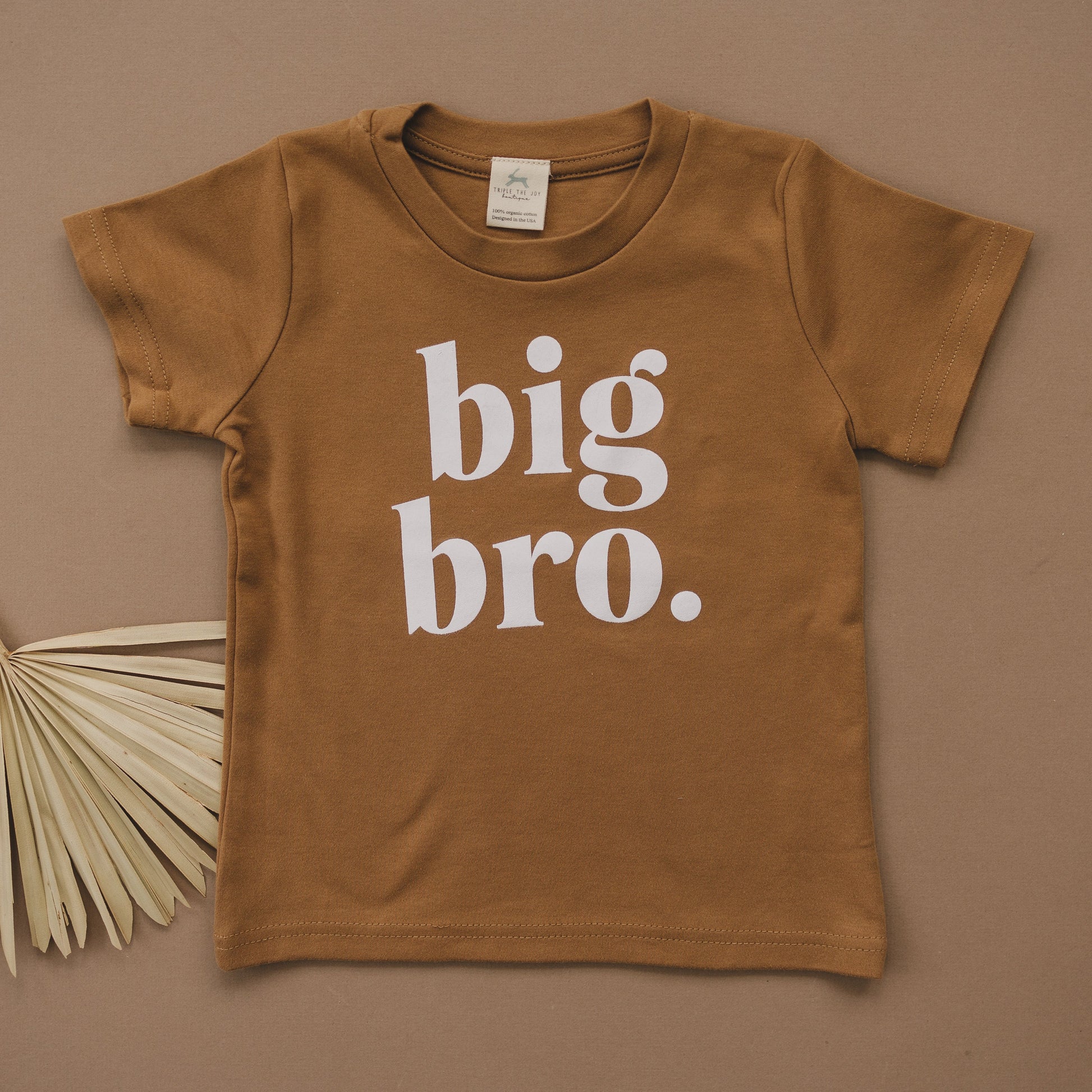 Big Bro Organic Cotton T-Shirt - more colors by Little Joy Co., product view 3