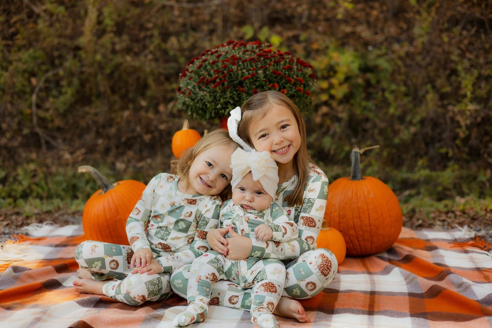 Harvest Hedgehogs Bamboo Zippy Pajamas by Little Joy Co., product view 2