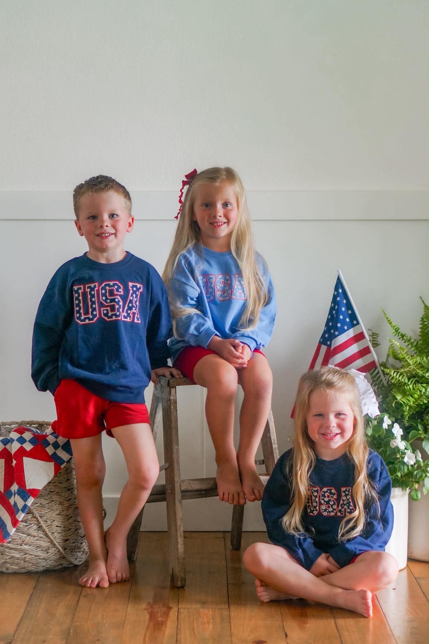USA Daisy Crewneck Sweatshirt - more colors by Little Joy Co., product view 3