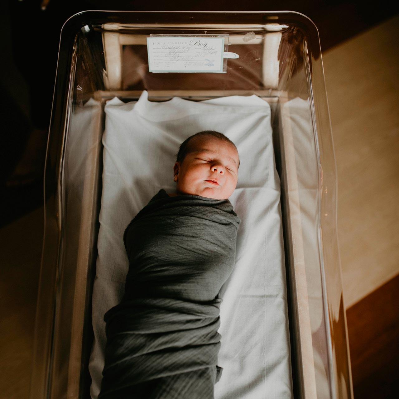 Timber Swaddle Set by Parker Baby Co., product view 16