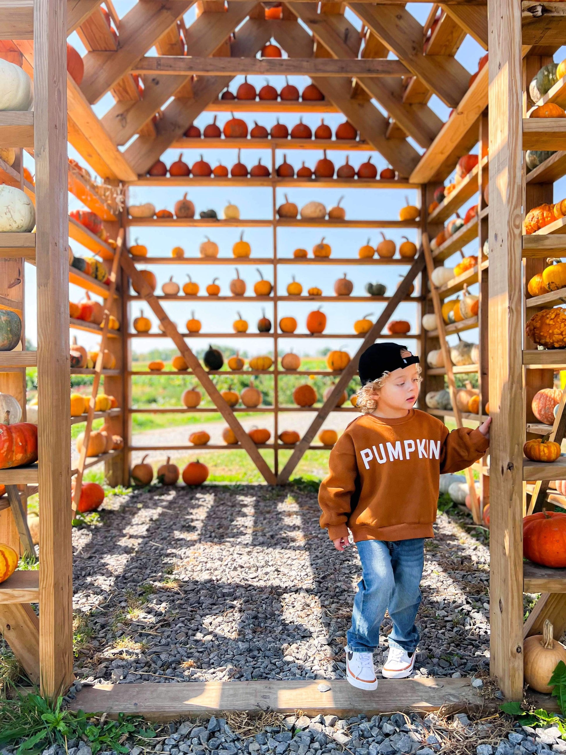 Pumpkin Crewneck Sweatshirt by Little Joy Co., product view 8