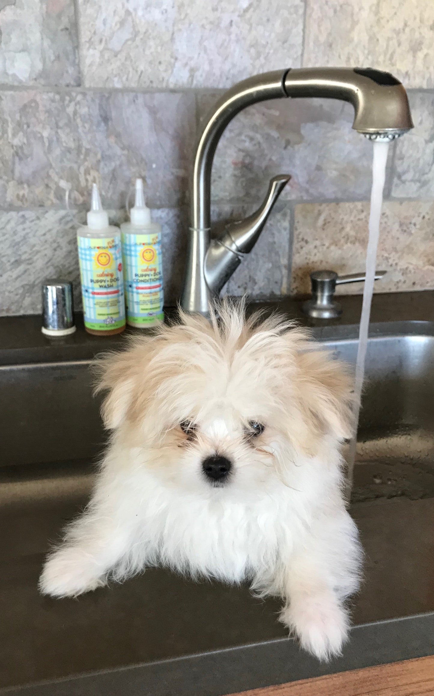 Calming™ Puppy + Dog Conditioner by California Baby, product view 4