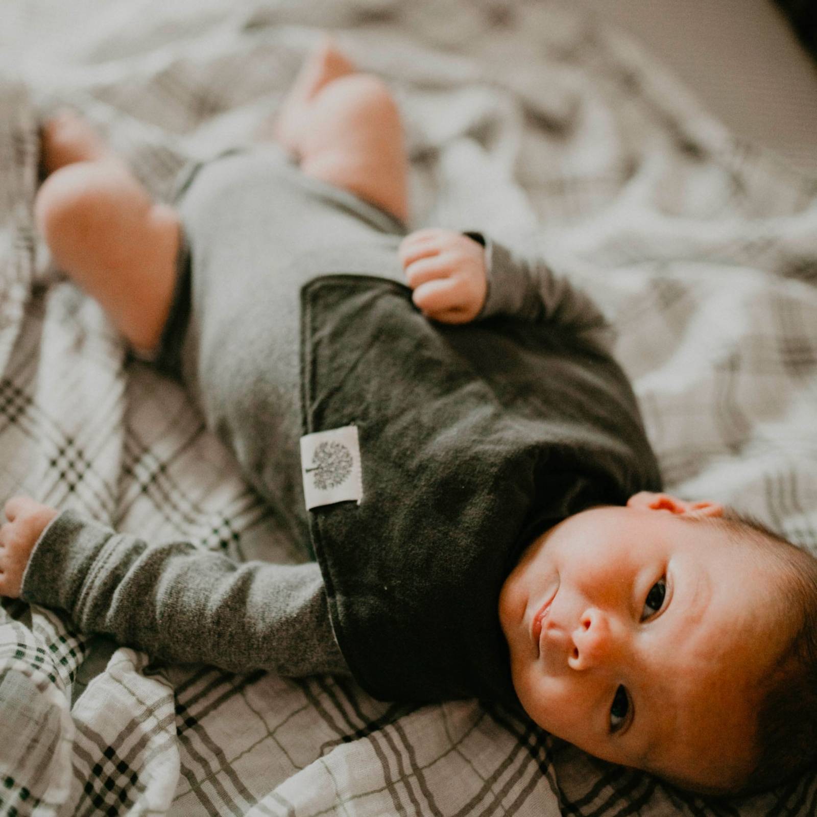 Basics Bandana Bib Set (8 pack) by Parker Baby Co., product view 7