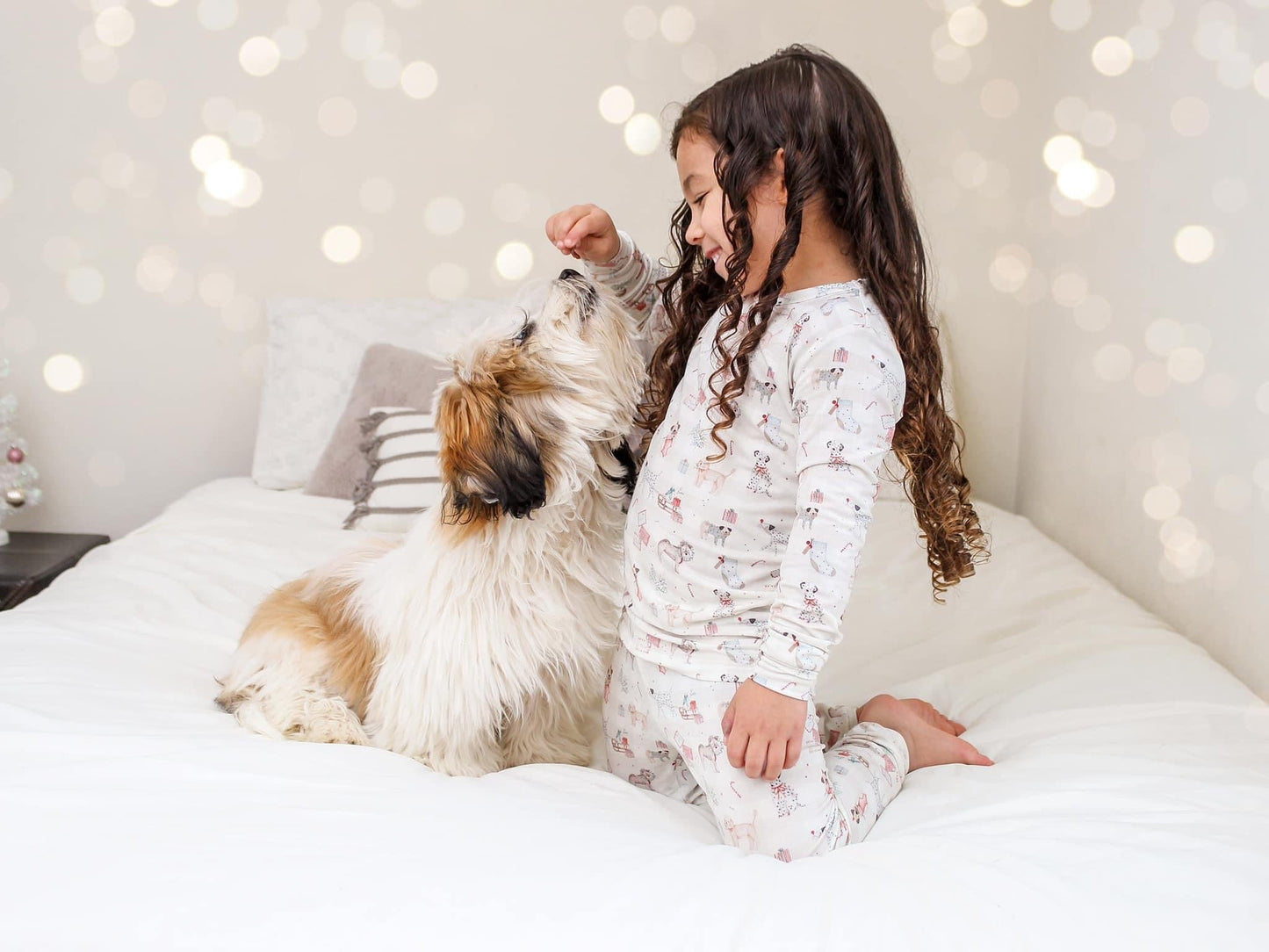 Santa Paws 2pc Bamboo Pajamas by Little Joy Co., product view 6