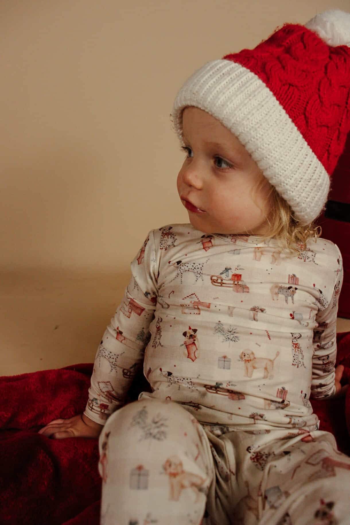Santa Paws 2pc Bamboo Pajamas by Little Joy Co., product view 17