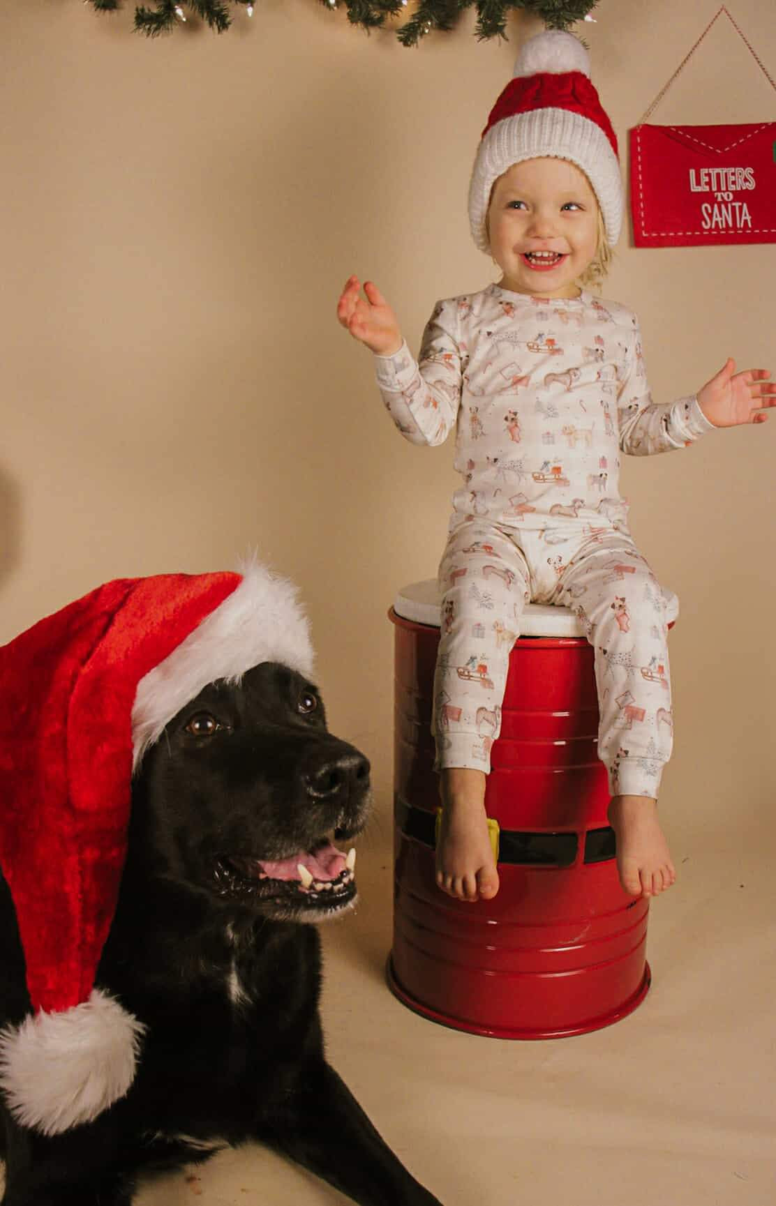 Santa Paws 2pc Bamboo Pajamas by Little Joy Co., product view 16
