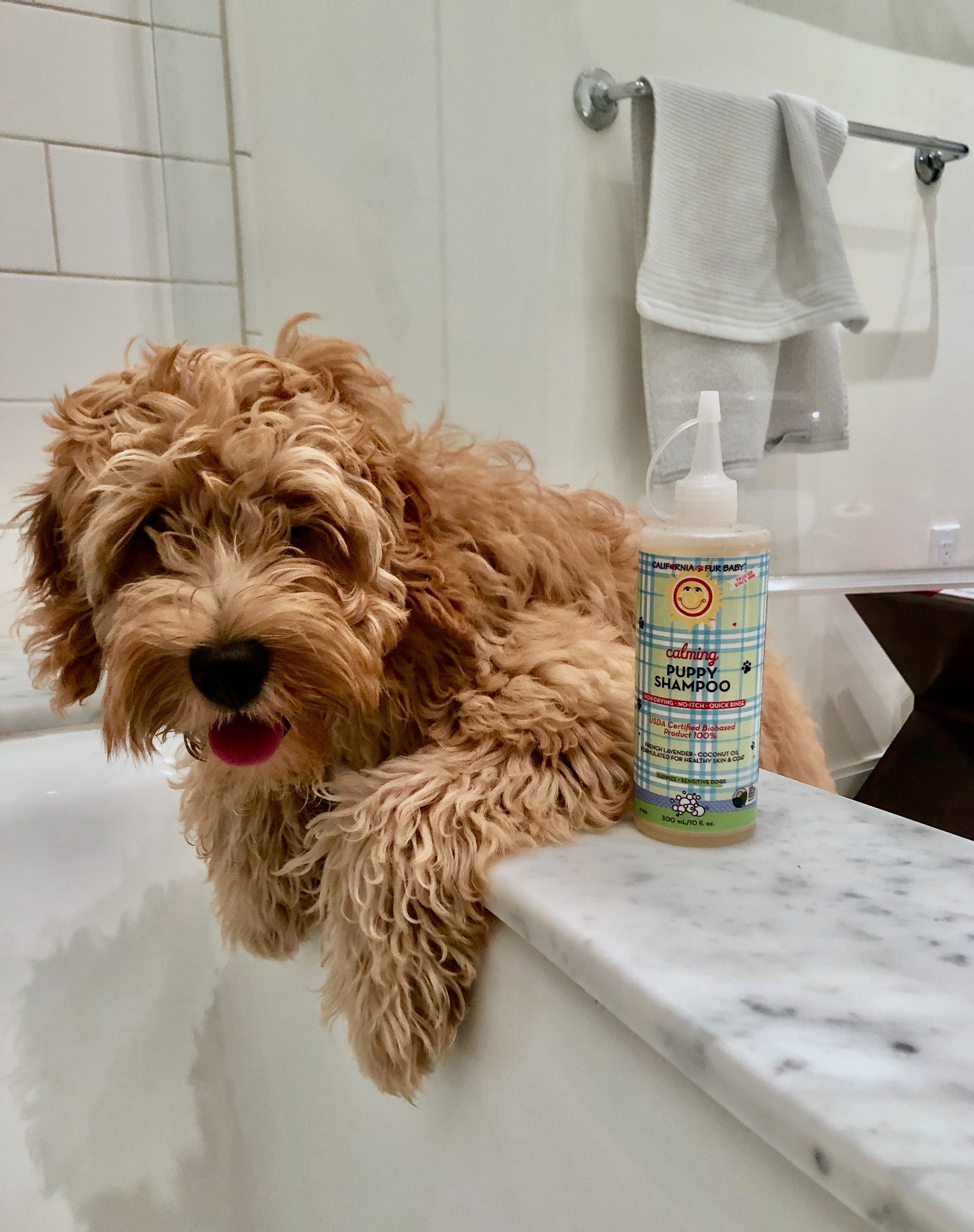 Calming™ Puppy + Dog Wash by California Baby, product view 4