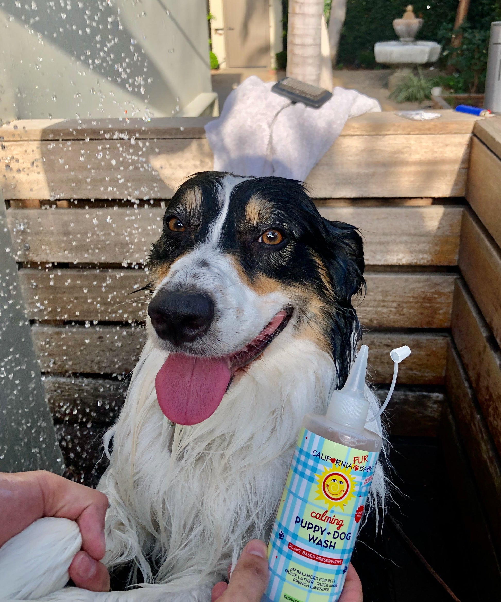 Calming™ Puppy + Dog Wash by California Baby, product view 3