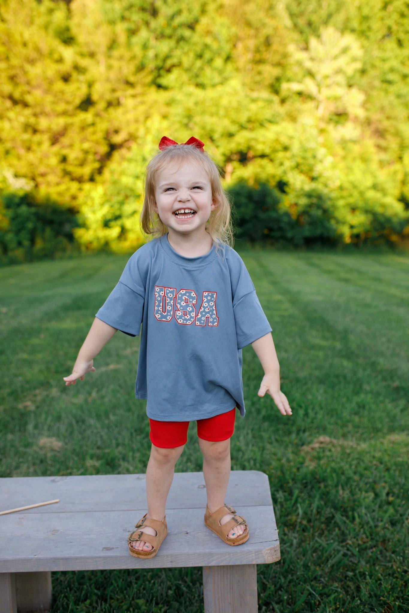 USA Daisy Oversized T-Shirt by Little Joy Co., product view 9