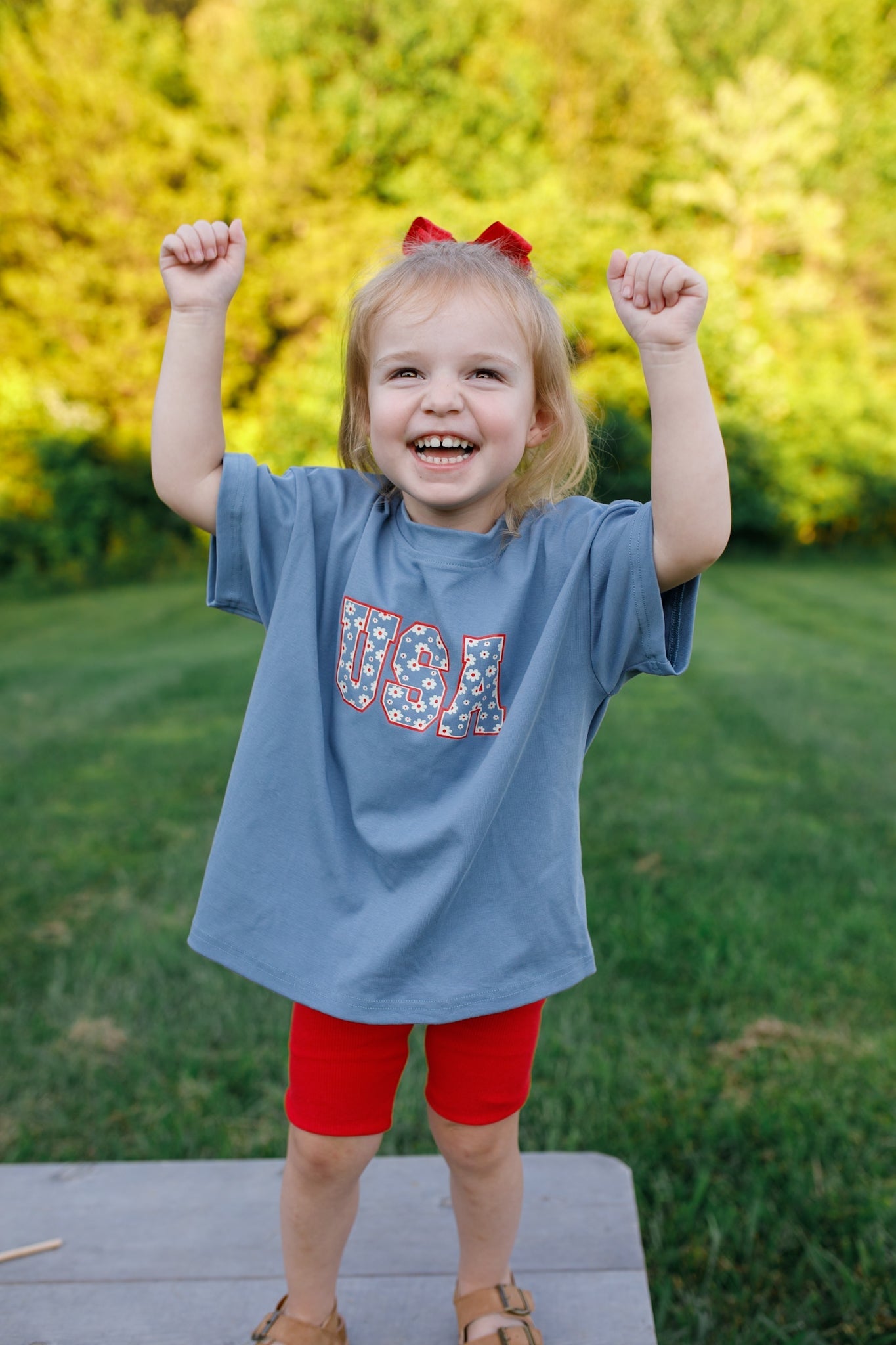 USA Daisy Oversized T-Shirt by Little Joy Co., product view 7
