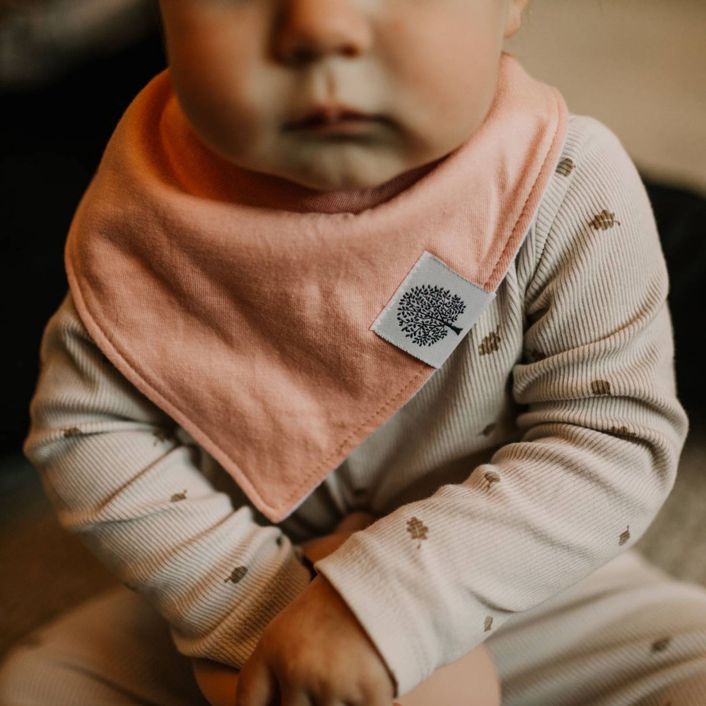 Vail Bandana Bib Set (8 pack) by Parker Baby Co., product view 2