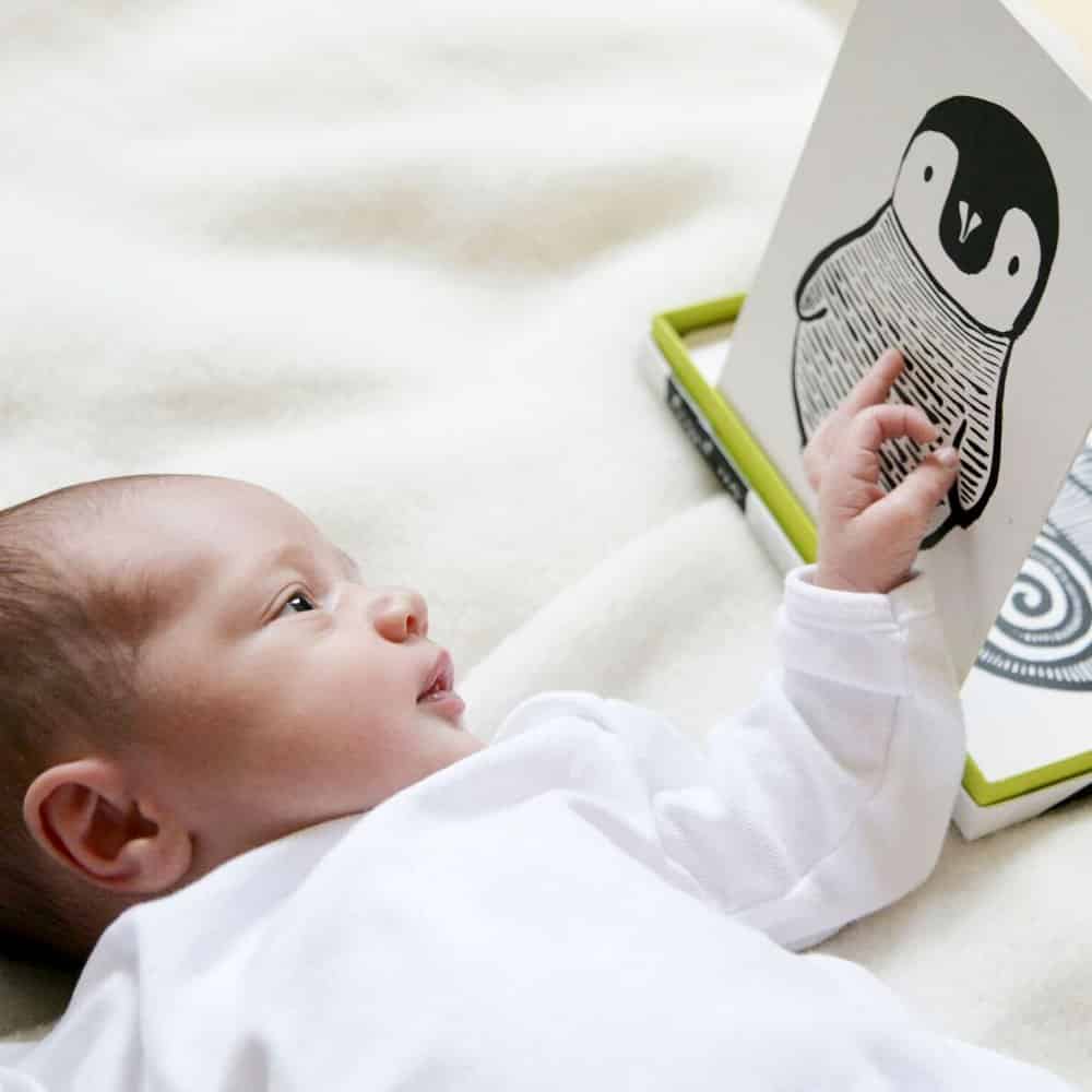 Wee Gallery Black and White Baby Art Cards – 6 Animal Cards