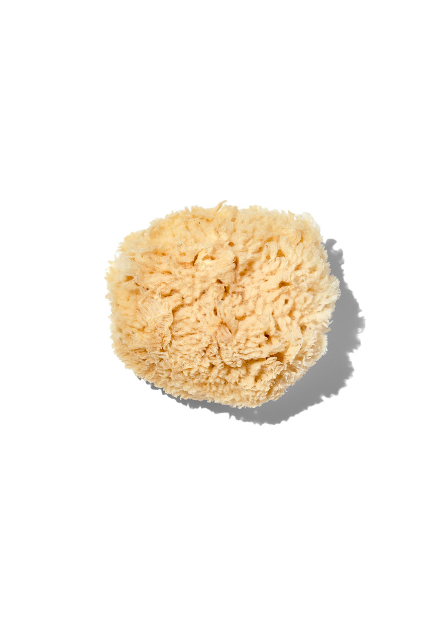 Natural "Wool" 3-4" Sea Sponge by California Baby