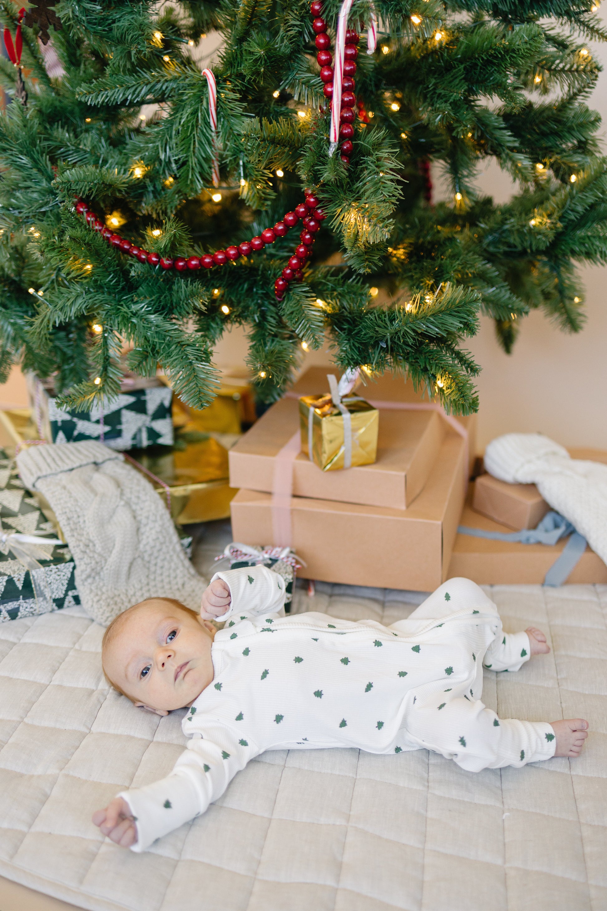 Tiny Trees Ribbed Bamboo Zippy Pajamas by Little Joy Co., product view 6