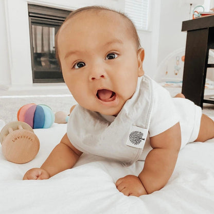 Cloud Bandana Bib Set (8 pack) by Parker Baby Co., product view 12