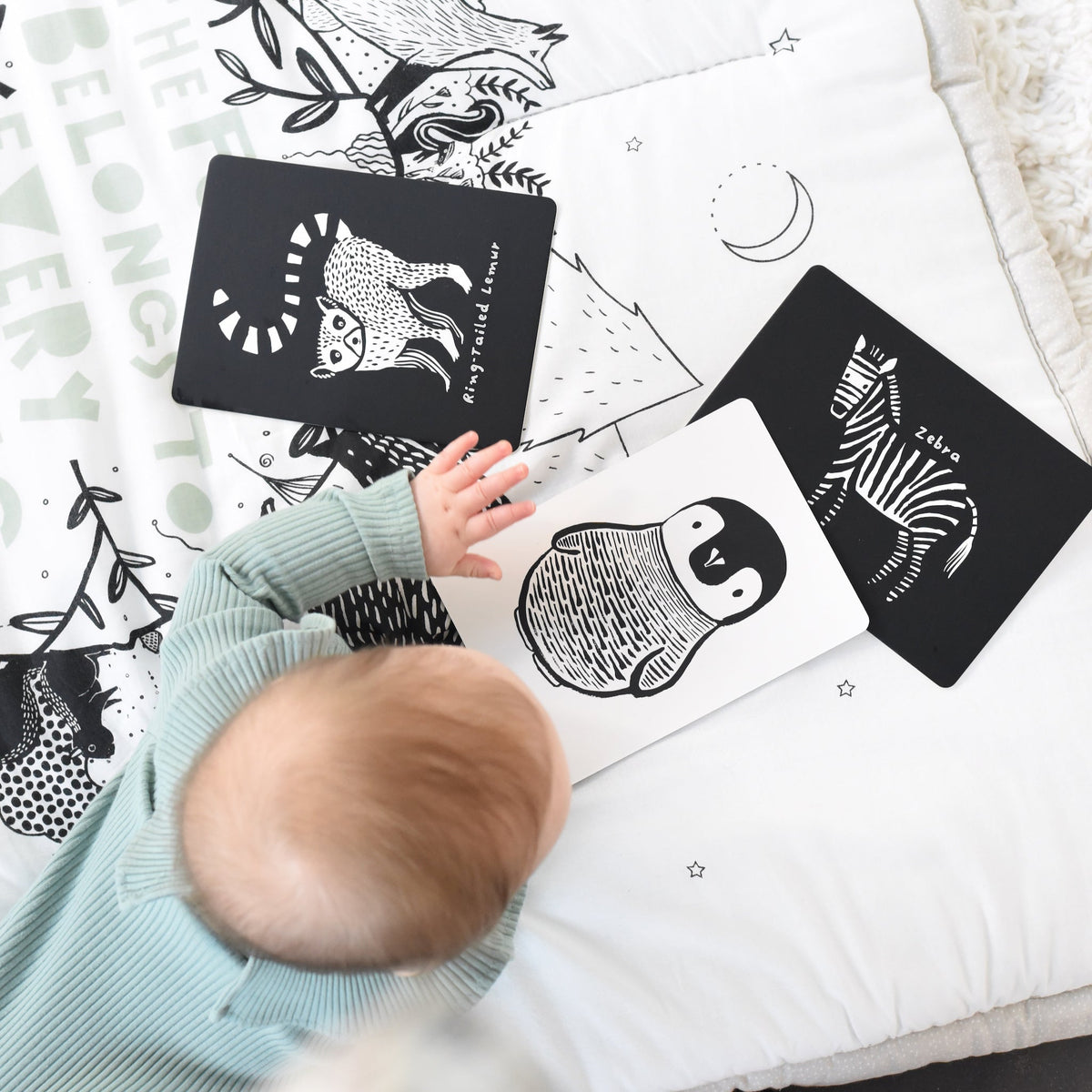 Wee Gallery Black and White Baby Art Cards – 6 Animal Cards