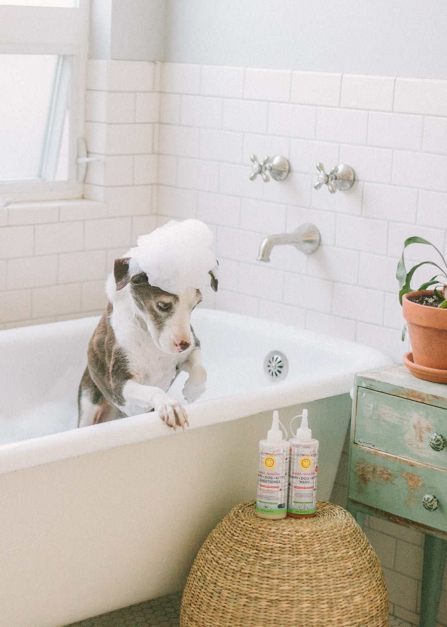 (No Fragrance) Super Sensitive™ Puppy + Dog + Kitty Conditioner by California Baby, product view 2