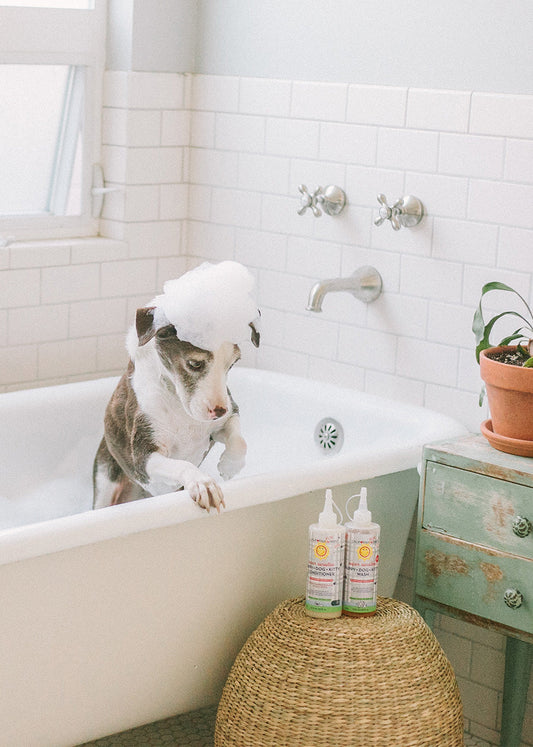 (No Fragrance) Super Sensitive™ Puppy + Dog + Kitty Conditioner by California Baby, product view 2