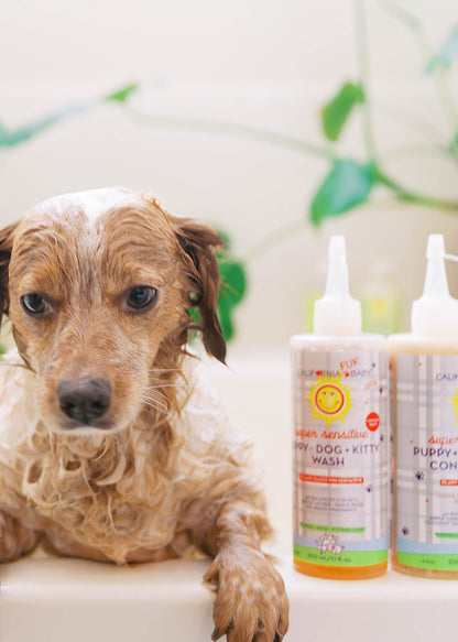(No Fragrance) Super Sensitive™ Puppy + Dog + Kitty Wash & Conditioner Set by California Baby, product view 4