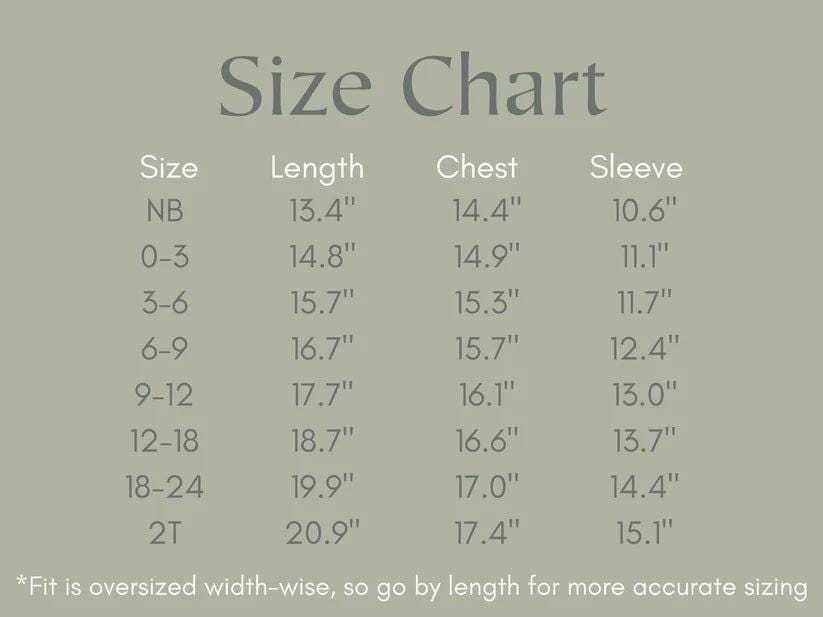 Silly Goose Bamboo Baby Romper - Teal or Blue - Infant Baby Toddler by Little Joy Co., product view 8