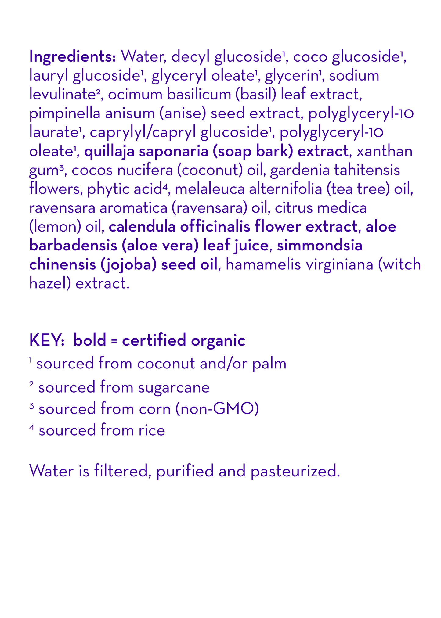 Squeaky Clean!™ Moisturizing Handwash by California Baby, product view 6