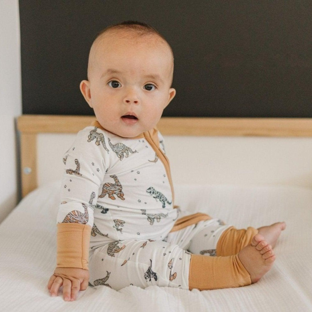 Mummy-Saurus Rex Bamboo Zippy Romper *Newborn & 0-3 months only by Little Joy Co.