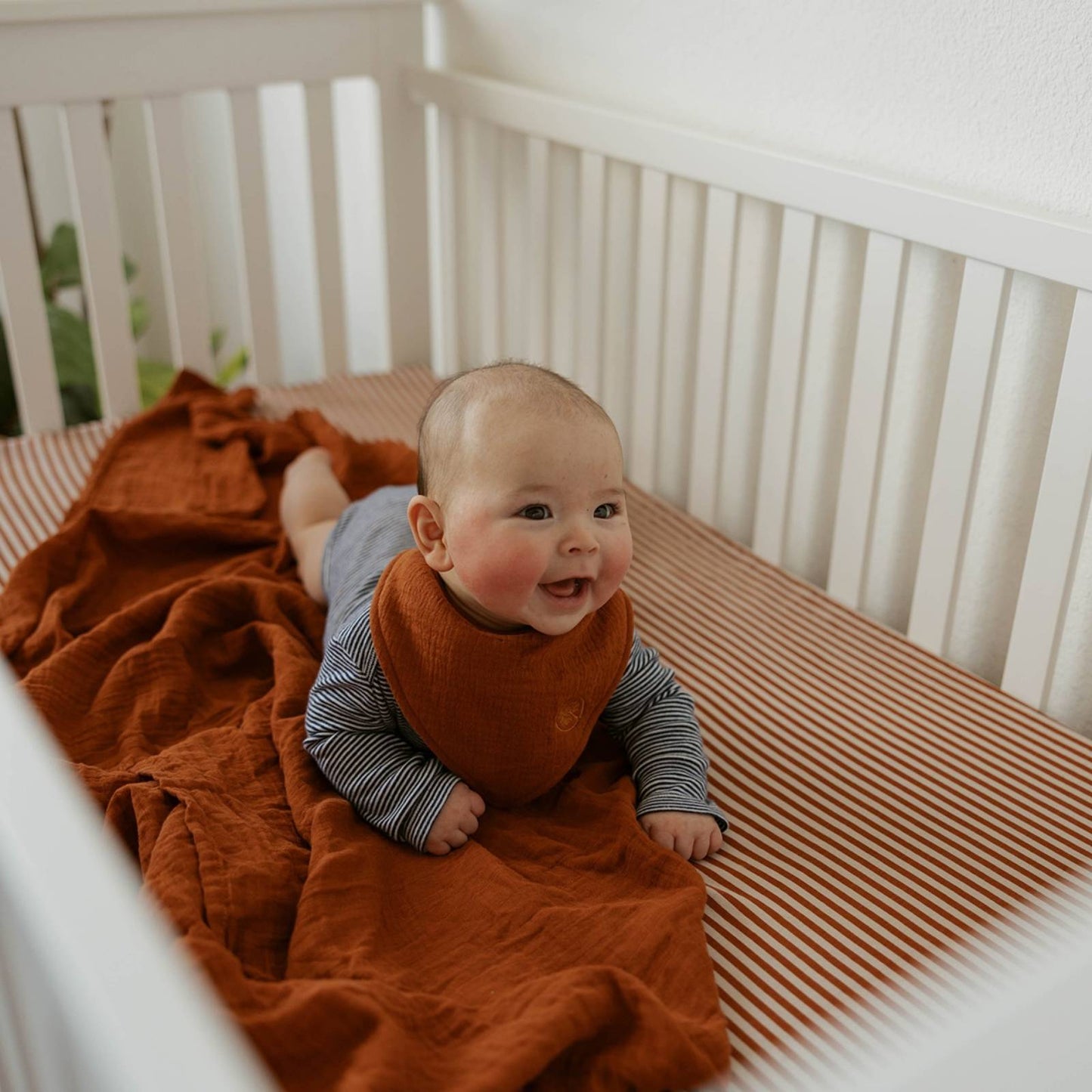 Pebble Muslin Bandana Bibs Set (4-Pack) by Parker Baby Co., product view 9
