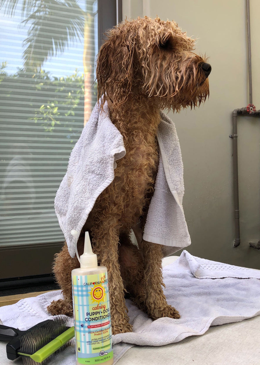 Calming™ Puppy + Dog Conditioner by California Baby, product view 5
