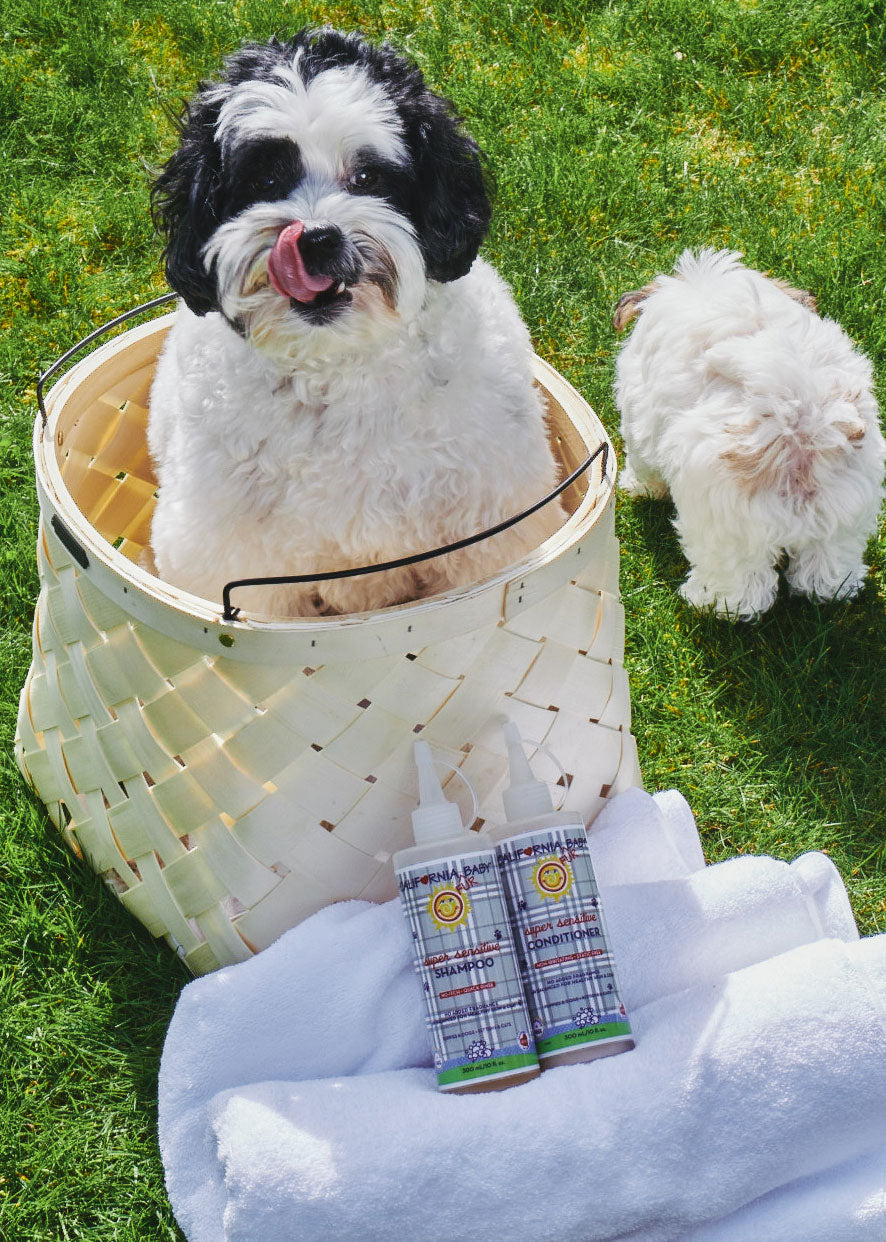 (No Fragrance) Super Sensitive™ Puppy + Dog + Kitty Wash by California Baby, product view 3