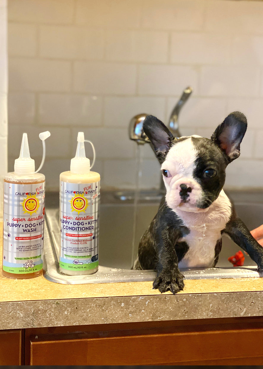 (No Fragrance) Super Sensitive™ Puppy + Dog + Kitty Wash by California Baby, product view 2